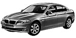 BMW F10 P136D Fault Code
